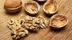 In Shell Walnuts (4 Lbs.) - Jumbo Natural