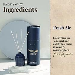 Paddywax Petite Collection Scented Oil Reed