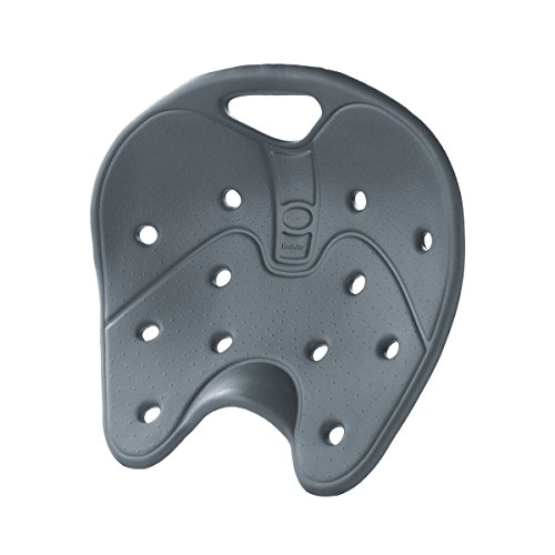 BackJoy SitSmart Posture Core Seat Pad, Designed for Lower Back Pain