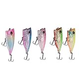 Vbest life 5PCS Floating Fishing Lure, 5PCS Plastic