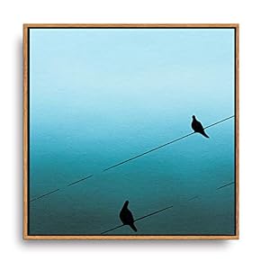 Framed Canvas Wall Art for Living Room, Bedroom Artistic Birds Canvas Prints for Modern Home Decoration Ready to Hang - 16"x16" inches