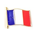 France Waving Flag Lapel Pin Country Made of Metal Souvenir