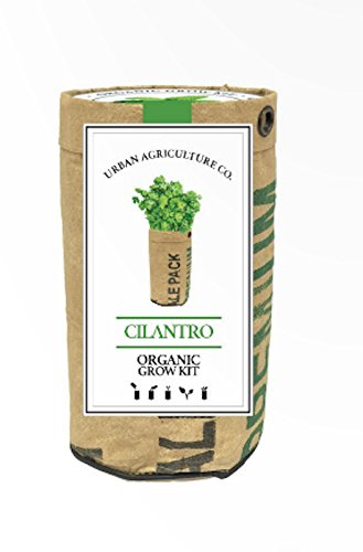 Urban Agriculture Herb Garden - Cilantro