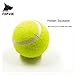 FitPetx Squeaker Tennis balls, Pet Squeaky Toy, 2.5