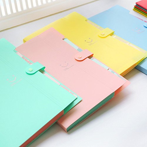 Lateral File Folders Accordion File Folders For Women Expandable Plastic Folder Organizer - Thumbnail 6