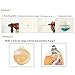 Kathson Home Decoration Pot Wall Hanging Mount Bubble Aquarium Bowl Fish Tank Aquarium (Mirror, 19.519.5cm)