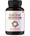 Havasu Nutrition Berberine + Cinnamon - Advanced Blood Sugar Support Supplement - Non-GMO - 60 Capsules