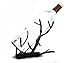 TheopWine Single Bottle Wine Rack - Gift Box
