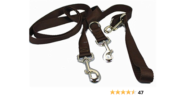2 point control leash