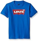 Levi's Big Boys' Batwing T-Shirt, Princess Blue, L