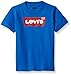 Levi's Big Boys' Graphic T-Shirt, Princess-Blue, L