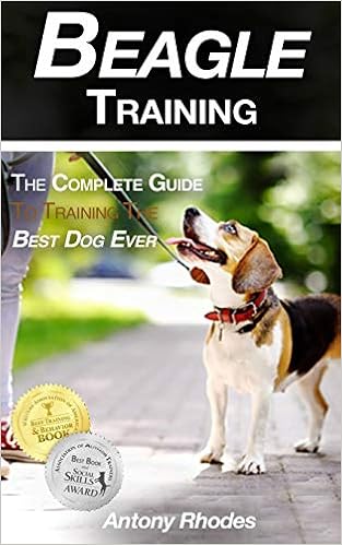 best training collar for beagles
