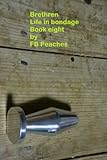 Brethren, life in bondage. Book eight. (Brethren life in bondage 8)