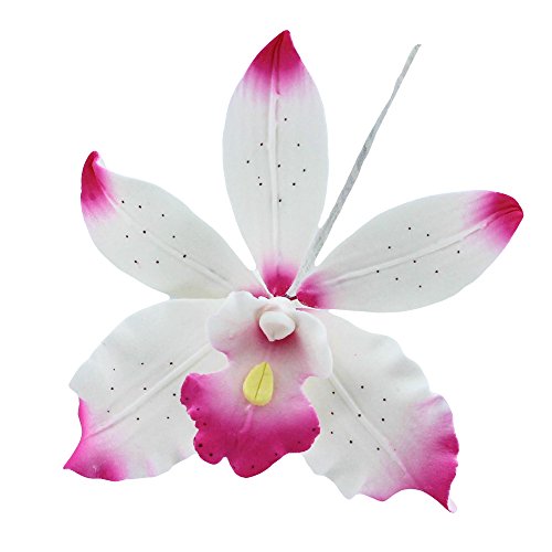 Brassavolaelio Orchid, White with Pink, 9 Count by Chef Alan Tetreault