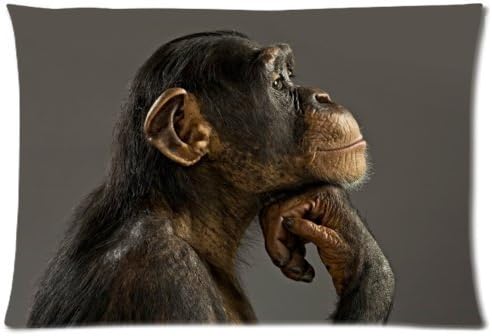 The Black Thinking Mokey Two Sides Decorative Rectangle Zippered Throw Pillow Case Cover 20x26 inch