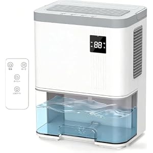 除湿機 空気清浄機能 HEPA13フィルター付き 3Lタンク 1L/日除湿量 衣類乾燥 ペルチェ式 家庭用