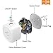 Smart Plug with Timer 2 Pack Energy Monitoring Wifi Plug Compatible with Alexa Echo Google Asistant IFTTT, no Hub Required, Control your Devices from Anywhere, ETL and FCC listed