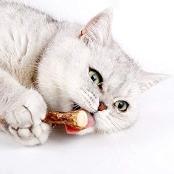 Amazon 50本猫歯ぎしり棒 子猫歯ぎしり咀嚼おもちゃ 純天然なマタタビ 健康ケア有機なマタタビ 細い 50本 Owude またたびトイ 通販