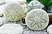 Ambari's Snowflake Cookie Cutter Set - Cake Decorating Mold Fondant Plunger Tool, Christmas Cutters Stamp Shaped as Snowflakes, Holiday Cookie Molds Stamps, Frozen Cake Candy & Cupcake Decorations