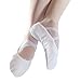 Danzcue Adult Canvas/Leather Ballet Shoes Split Sole Ballet Slippers for Women Dance Shoes, White, 11M