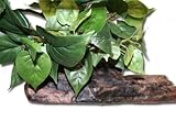 Magnaturals Medium Planter Ledge Earth - Magnetic Decor