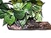 Magnaturals Medium Planter Ledge Earth - Magnetic Decor