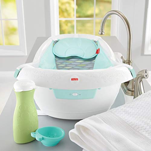 fisher price soothing river deluxe bouncer