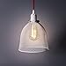 Rustic State Industrial Retro Style Mesh Wire Cage for Pendant Ceiling Lamp (White)