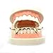 TOPGRILLZ Bottom Vampire Teeth Grills - 18K Gold Plated Slug Fang Grillz for Men & Women - Hip Hop Rapper Costume