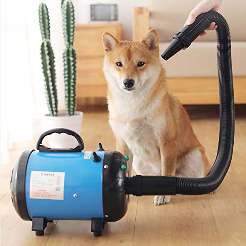 3 Nozzle Pet Blow Dryer Low Noise Dog Hair Dryer Grooming Kit Stepless