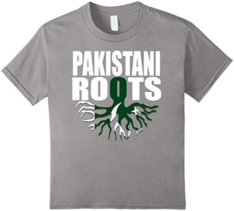 unisex-child Storecastle: Pakistani Roots Pakistan Flag Gift T-Shirt 4 Slate