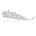 Handmade Snowflake Rhinestone Crystal Bridal Tiara Crown T914