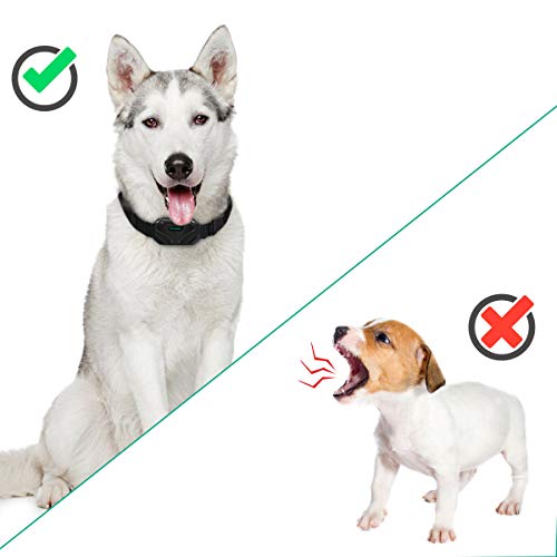 pueikai Dog Bark Collar, Dog Training Collar with Beep/Vibration/Shock Modes, Rechargeable Waterproof Anti-bark Collar with Adjustable Sensitivity, Smart No Bark Collar for Small Medium Large Dogs