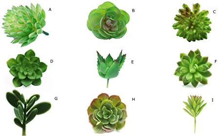 Shore Goods Artificial Succulent Plants, 9 Pack Unpotted - Perfect Amount to Brighten Up Home, Office, Events, Weddings, Christmas. Scientifically Shown to Reduce Stress/Fatigue!