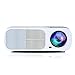 Ogima BL20 Video Projector,2600 Lumens Home Cinema Theater 5.0 Inch LCD TFT Display Support 1080P HD 3D with 1-year warranty
