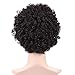 WIGNEE Remy Human Hair short bob wigs100% Brazilian Human Hair Short Wavy Wigs with Free Gifts (2#)