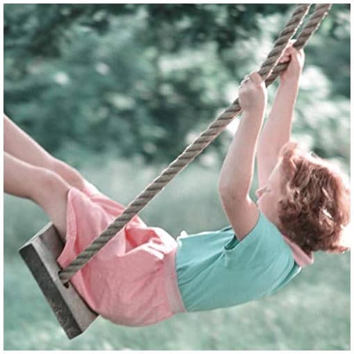 KAKIBLIN Kids Climbing Rope Ladder, Trapeze Bar with Rings and Hanging Swings Seat Bundle, Gymnastics Swing for Outdoor… - Image 6