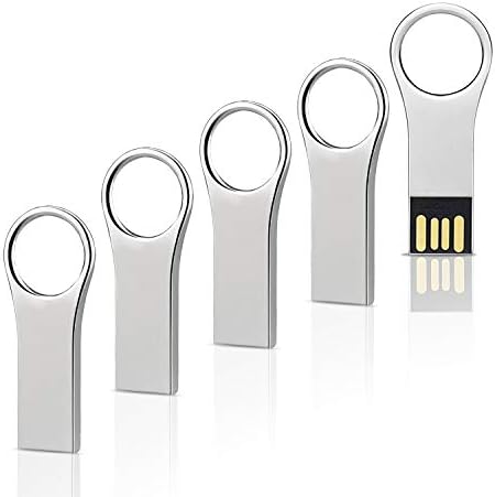 RAOYI 5 Pack 16GB USB Flash Drive USB 2.0 Metal Thumb Drives Mini Waterproof Jump Drive Memory Stick Key Shaped Silver