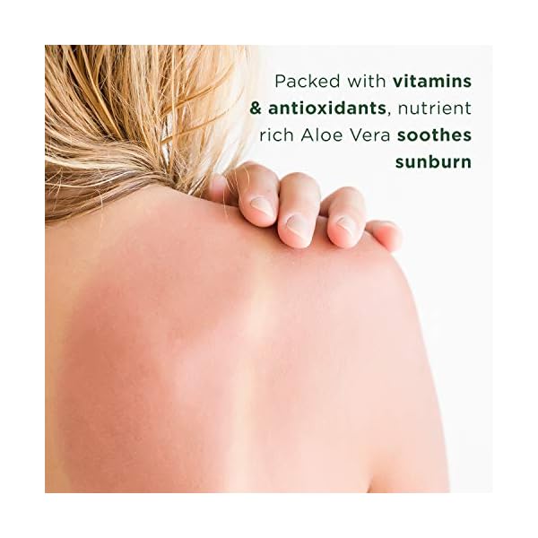 PraNaturals-Pure-Aloe-Vera-Gel-200ml-VEGAN-CERTIFIED-Pack-of-2 PraNaturals Pure Aloe Vera Gel 200ml – Soothing & Hydrating, Rich in vitamins, for bug bites and minor burns, For all…