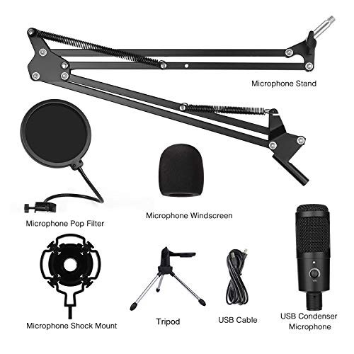 HAIPUSEN USB Kondensator Mikrofon für PC Studio mit Stativ und Arm, Professionelle Podcast-Mikrofonsets 192kHZ/24bit für… – Bild 8