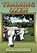 Training Oxen DVD