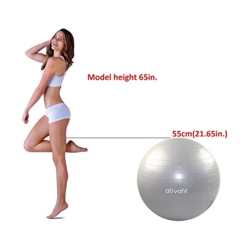 ATIVAFIT Pink Exercise Ball 21.7" Anti Burst Resistant Yoga Ball for Pregnant Women Gym, Home, Office(Gray) - Thumbnail 2