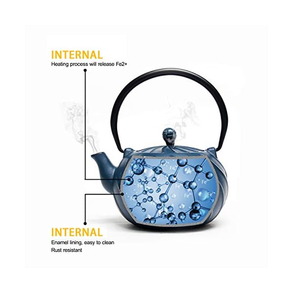 Tea Kettle, TOPTIER Japanese Cast Iron Teapot with Stainless Steel