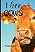 I love COWS! weekly calendar and planner: 18 month calendar from July 2019 to December 2020 sized 6 by Black Dog House Publishing