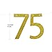 Gold Glitter Cheers to 75 Years Banner - 75th Birthday Party Decorations Celebration Ideas - NO Assembly Required