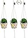 Macrame Plant Hangers Hanging Planter - 3 Pack Indoor or Outdoor Cotton Rope Hanging Plant Holder for Flower Pots - Modern Boho Home Decor, 3 Legs 42 Inch