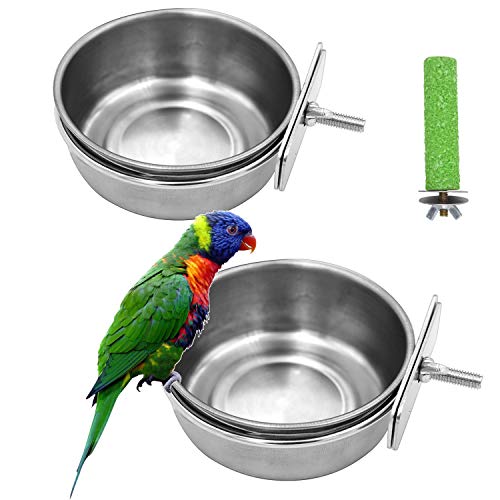 parakeet water dish