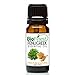 Biofinest Fenugreek Essential Oil - 100% Pure Undiluted, Premium Organic Therapeutic Grade - Best for Aromatherapy, Skin & Hair Care, Ease Inflammation Fatigue Fever Sore Throat - FREE E-Book (10ml)