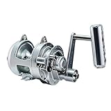 Accurate Platinum TwinDrag ATD 80W Reel - Silver