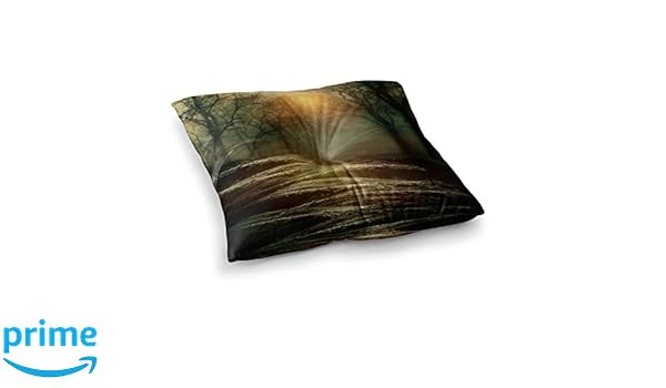 Decorative Pillows Inserts Covers 23 X 23 Square Floor Pillow